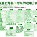 南昌液下屏蔽泵防爆潛污泵化工防爆潛泵不銹鋼液下泵質(zhì)保5年