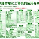 吳忠防爆潛污泵化工防爆潛泵高揚程不銹鋼潛液泵免維護(hù)