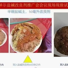 肥萬(wàn)鉀（肥萬(wàn)稼）鹽堿改良劑圖片