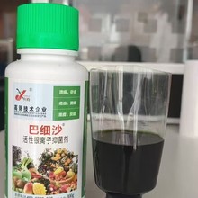 巴細(xì)沙果樹病害圖片