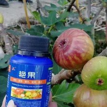 艷果（轉(zhuǎn)色產(chǎn)品）圖片