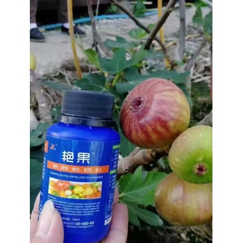 艷果（轉(zhuǎn)色產(chǎn)品）