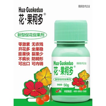 花果柯多