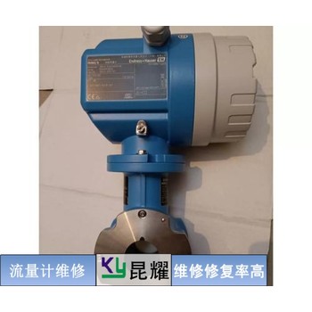 德國科隆/KROHNE流量計無流速維修指南