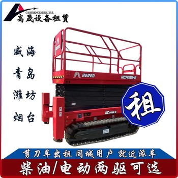 肥城市多功能叉裝車租賃