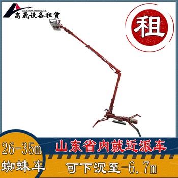 臨沂伸縮臂叉裝車出租