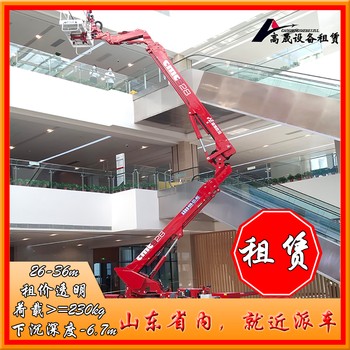 濱州蜘蛛式高空作業(yè)設(shè)備租賃