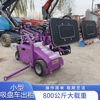 臨沂升高蜘蛛車租賃