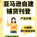 亞馬遜erp系統(tǒng)源頭開(kāi)發(fā)支持貼牌