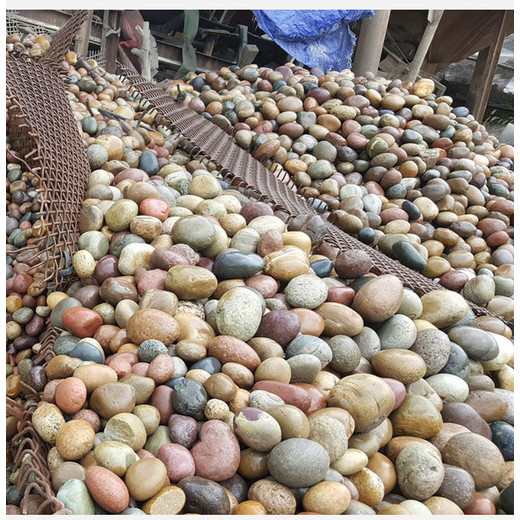 滄州滄縣鵝卵石米黃色鵝卵石變壓器濾油池廠家批發(fā)供應(yīng)