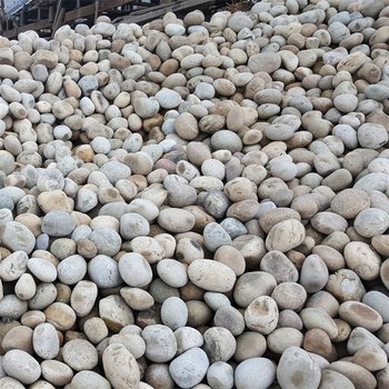 呂梁中陽縣鵝卵石電廠鵝卵石變壓器鵝卵石噸袋包裝有限公司