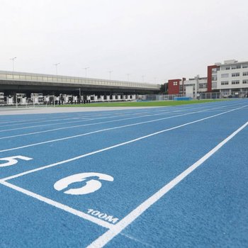 宜賓籃球場施工_眉山塑膠跑道施工_自貢足球場安裝工程