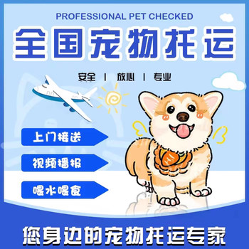 無錫寵物托運物流上門接寵