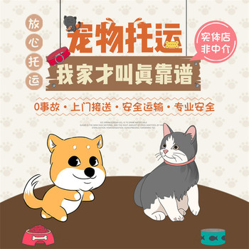 寵物托運）閔行寵物托運寵物活體運輸