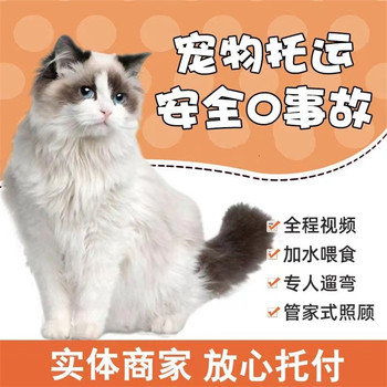 信陽寵物出國托運(yùn)寵物托運(yùn)費(fèi)用