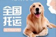 寵物托運）阿拉善盟寵物托運寵物活體運輸