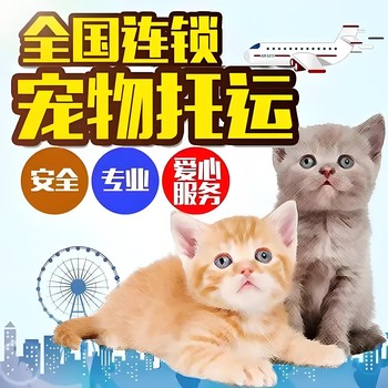 商洛寵物貓咪托運寵物飛機托運