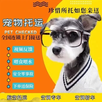 廣東中山寵物托運(yùn)物流專線托運(yùn)