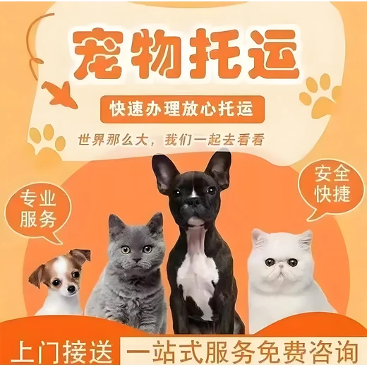 寵物運(yùn)輸阿拉善盟寵物托運(yùn)寵物活體運(yùn)輸