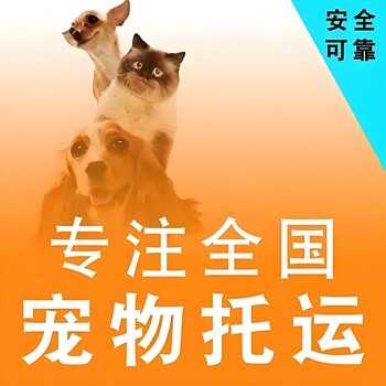 寵物托運）北海寵物狗狗托運汽車帶寵物托運