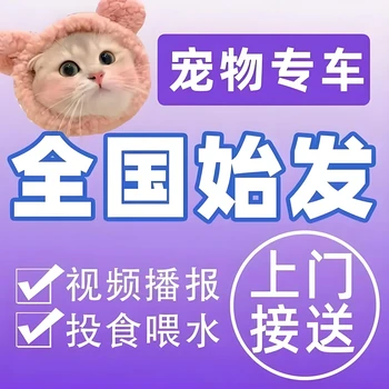 河北張家口貓咪寵物托運