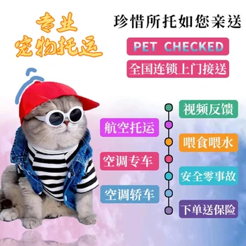 廣東中山寵物托運(yùn)物流專線托運(yùn)