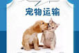 阿拉善盟寵物托運郵寄寵物托運運輸