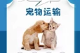 寵物貓運(yùn)輸專車:阿拉善盟寵物托運(yùn)寵物活體運(yùn)輸