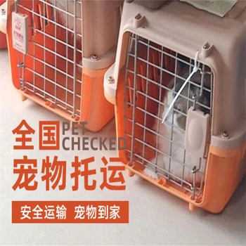 阜新貓咪寵物托運(yùn)公司