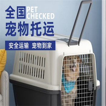 寵物托運）菏澤寵物托運郵寄火車托運