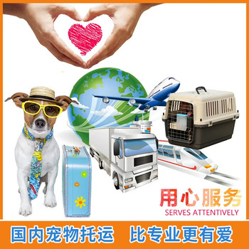 巴南靠譜的寵物托運(yùn)航空托運(yùn)寵物