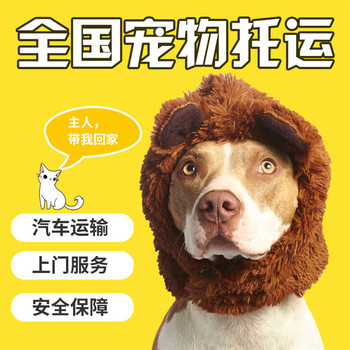 貴陽正規(guī)寵物托運(yùn)寵物單托運(yùn)