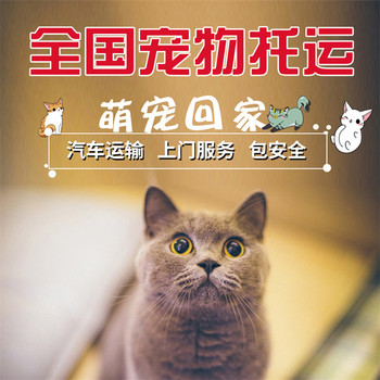 寵物托運）普陀寵物狗狗托運寵物托運費用