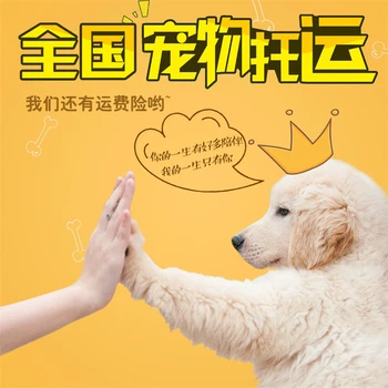 湖北咸寧寵物托運物流