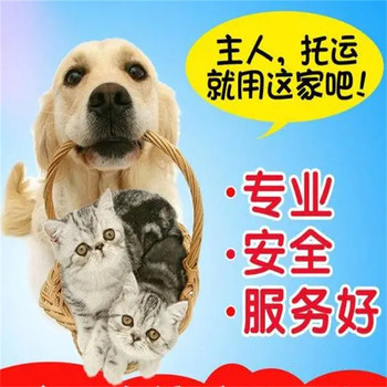 揚(yáng)州寵物狗狗托運(yùn)寵物托運(yùn)費(fèi)用