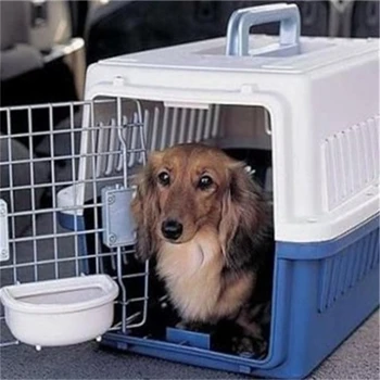 湖北武漢貓咪寵物托運(yùn)專線托運(yùn)