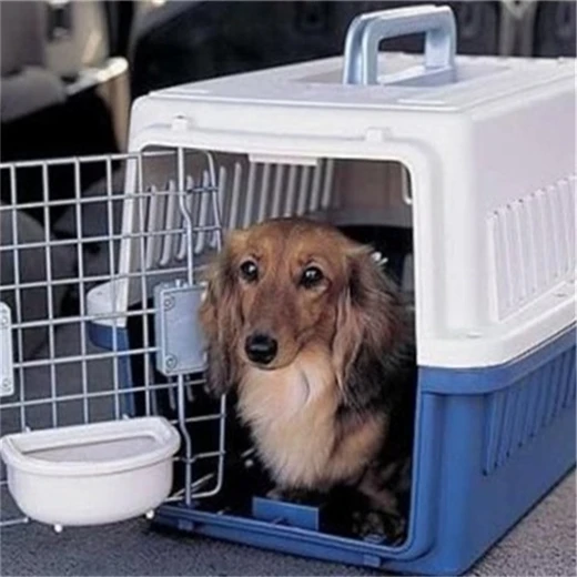 寵物運(yùn)輸阿拉善盟靠譜的寵物托運(yùn)航空運(yùn)輸有氧艙