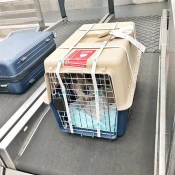 上海長寧寵物出國托運(yùn)專線托運(yùn)