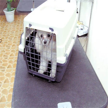 鷹潭正規(guī)寵物托運(yùn)-托運(yùn)活體狗