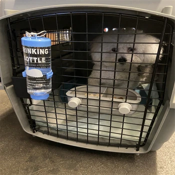 廣西北?？孔V的寵物托運