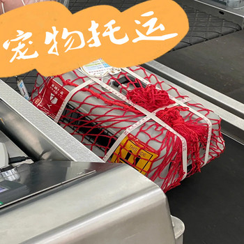 寵物托運）江門(mén)寵物貓咪托運寵物托運運輸