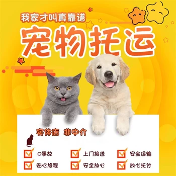 云南紅河寵物狗狗托運專線托運