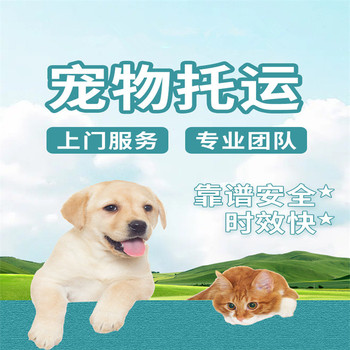 寵物托運）大慶寵物托運郵寄飛機托運寵物