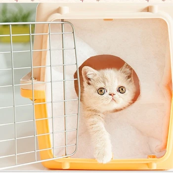 迪慶寵物狗狗托運公司