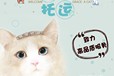 阿拉善盟寵物出國托運(yùn)空調(diào)轎車