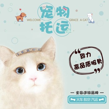 沈陽(yáng)寵物托運(yùn)郵寄寵物活體運(yùn)輸