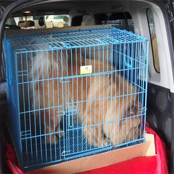 大同靠譜的寵物托運(yùn)-寵物活體運(yùn)輸