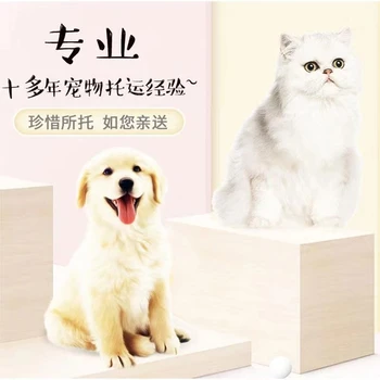 北京豐臺(tái)正規(guī)托運(yùn)公司寵物出國(guó)托運(yùn)