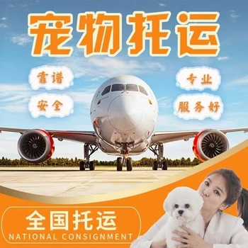 無錫寵物托運物流公司