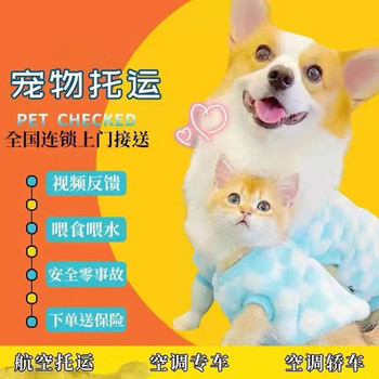 宜賓寵物貓咪托運-航空托運寵物